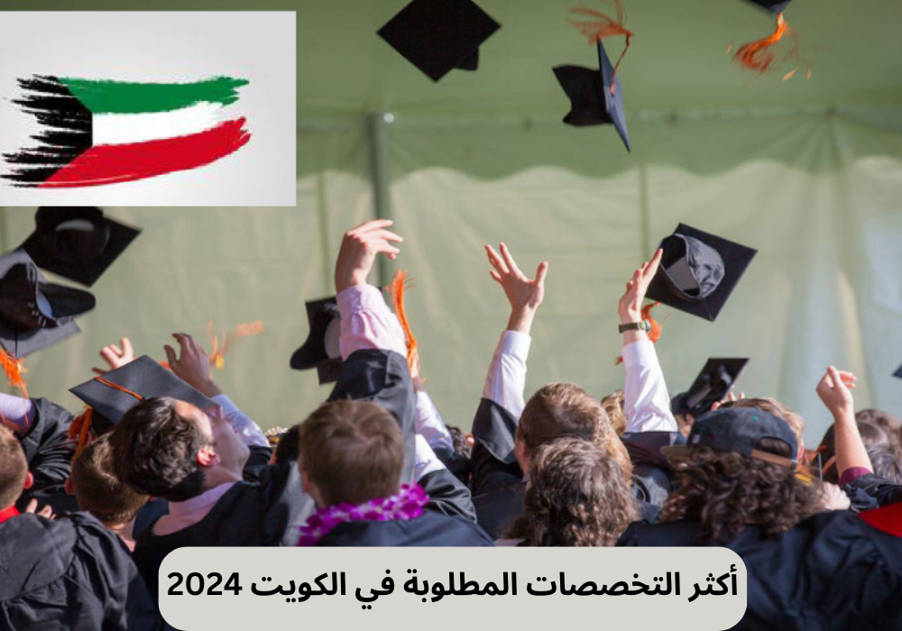 أكثر التخصصات المطلوبة في الكويت 2024