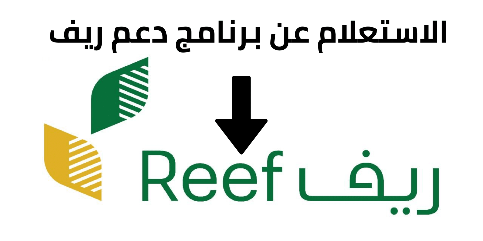 برنامج الدعم الريفي للاسر المنتجه