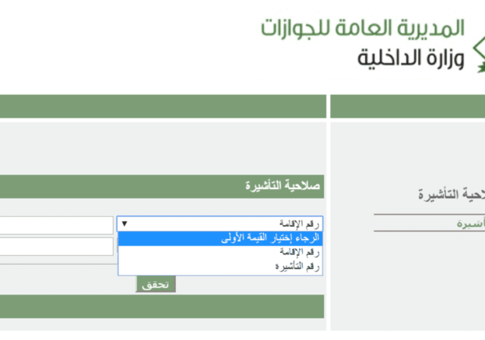 الاستعلام عن تأشيرة برقم الجواز