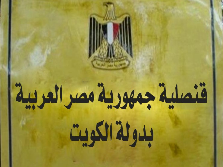 الاستعلام عن جاهزية جواز السفر من القنصلية المصرية في الكويت عبر التطبيق 