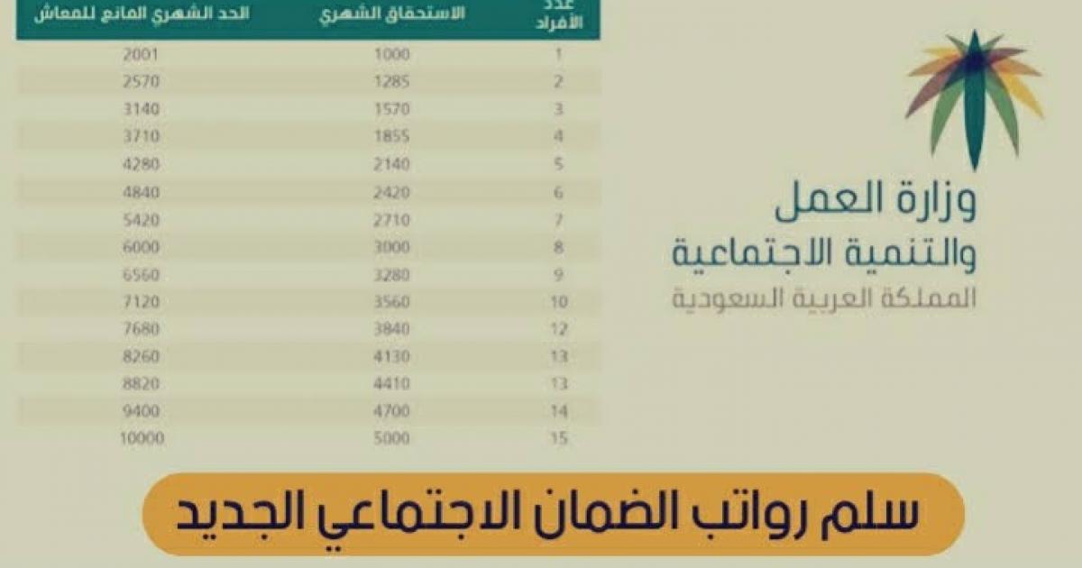 سلم الضمان الاجتماعي المطور