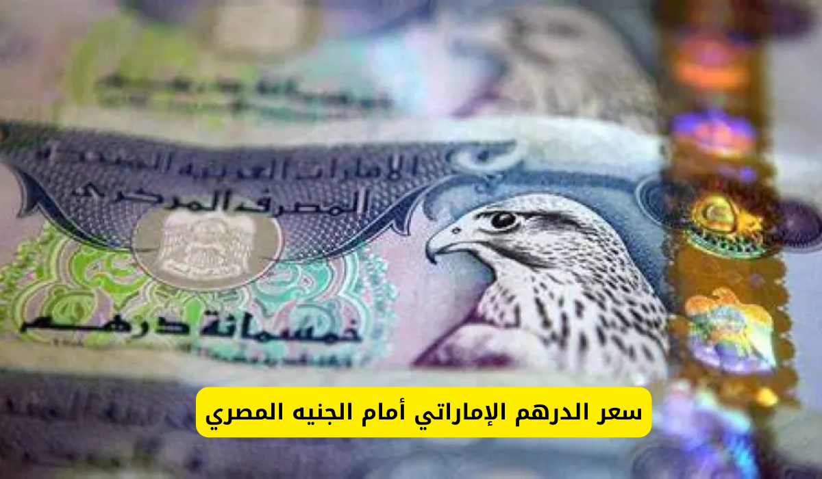 سعر الدرهم الإماراتي أمام الجنيه المصري