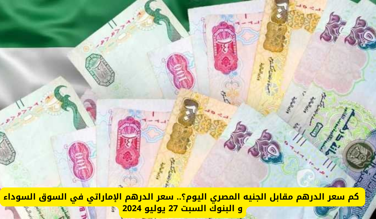 سعر الدرهم الإماراتي أمام الجنيه المصري