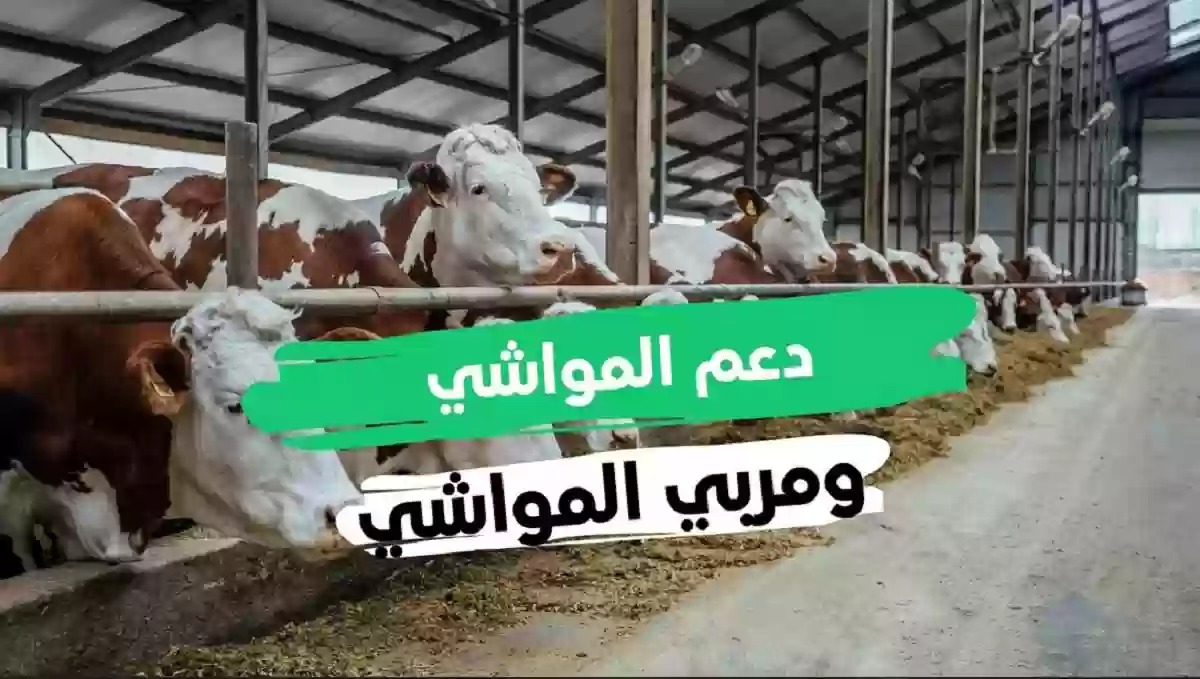  تقديم طلب الأهلية من مربي الماشية