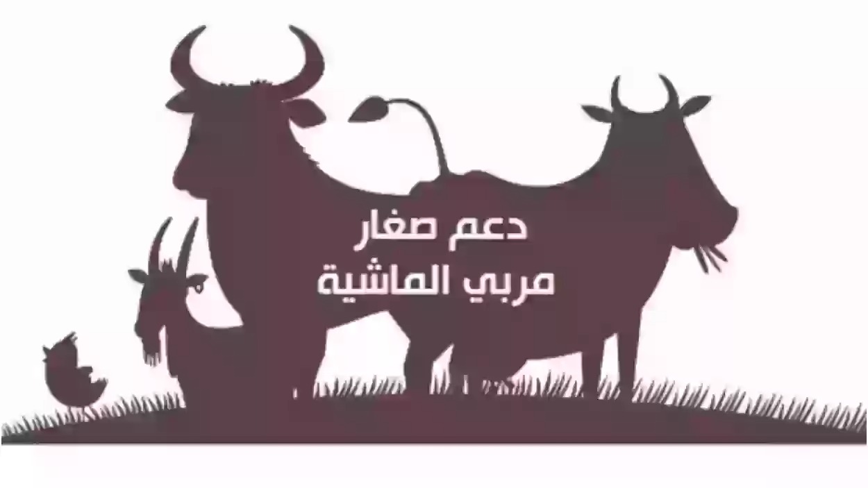  تقديم طلب الأهلية من مربي الماشية